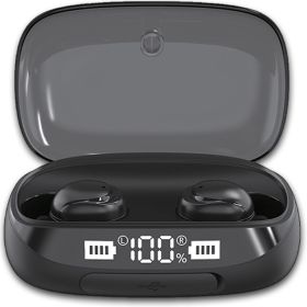 TWS True Bluetooth 5.0 Wireless Earbuds with 2000mAh Charging Case (Product Color: Black)